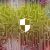 Small Businesses Face Growing Security Needs